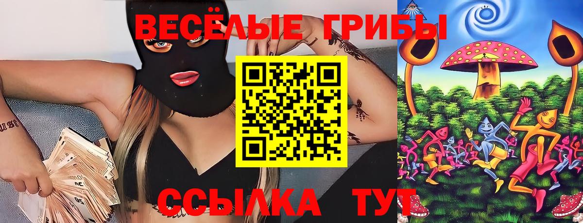 Псилоцибиновые грибы прущие грибы  где найти   Сунжа  Вход с VPN 