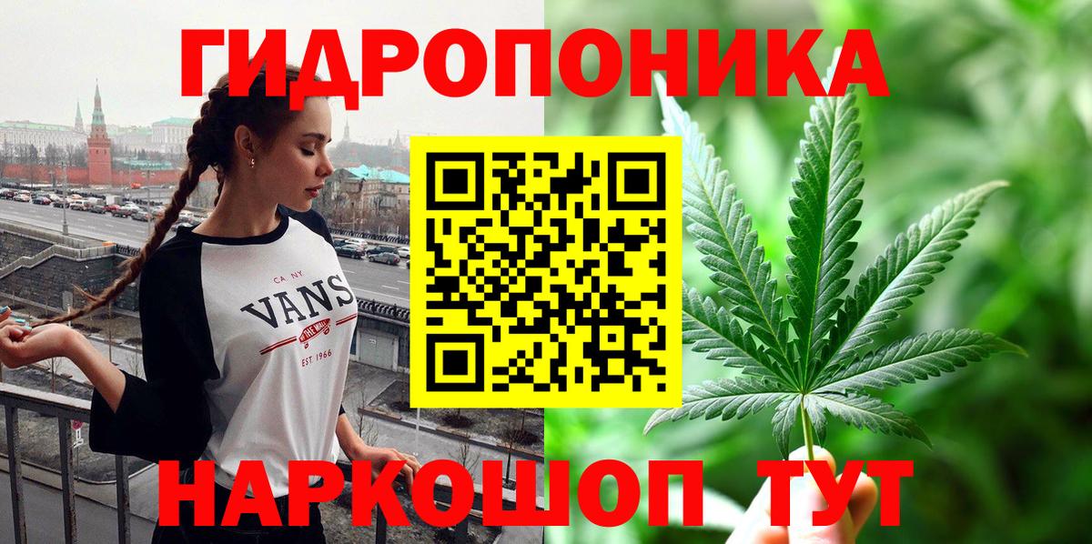 Сунжа  Конопля сатива  Каннабис сатива  Конопля сатива  Вход с VPN 